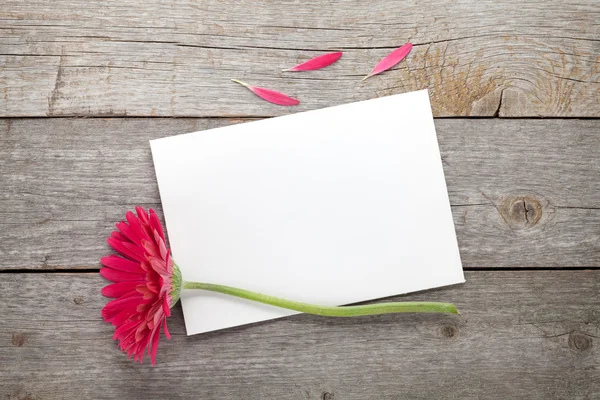 Roxo gerbera flor e cartão de saudação — Fotografia de Stock