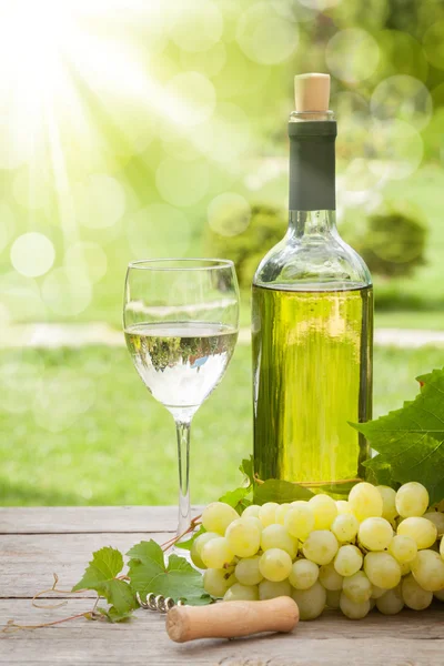 Weißweinglas und Flasche — Stockfoto