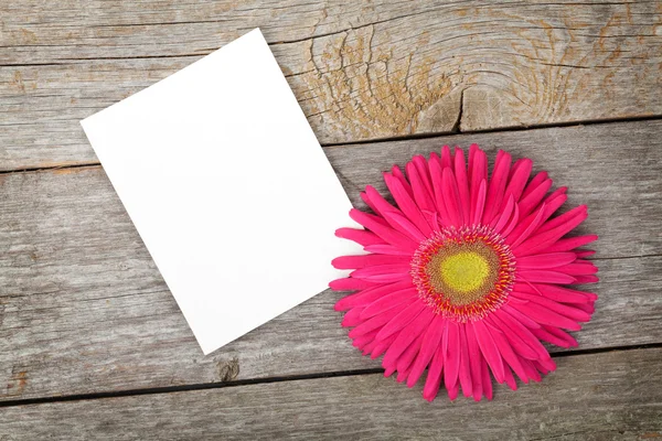 Cadre photo et fleur de gerbera — Photo