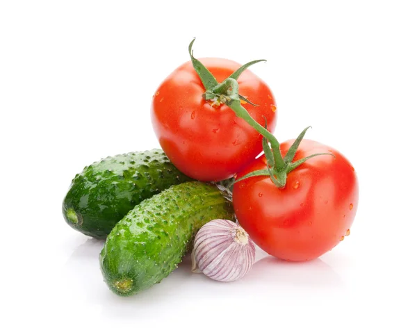 Fresh ripe clean vegetables — Stock Photo, Image