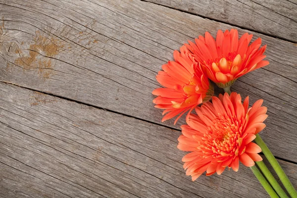 Laranja gerbera flores — Fotografia de Stock