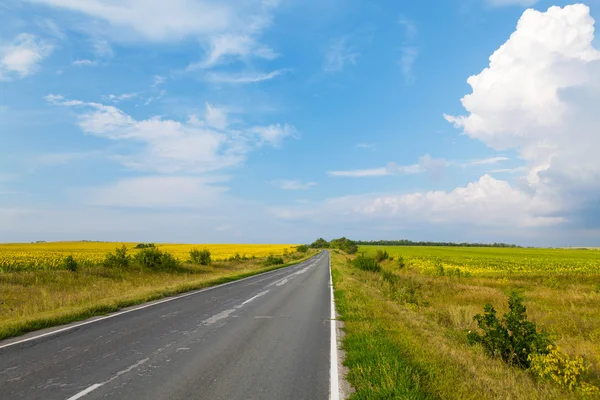 Strada attraverso il campo giallo — Foto Stock