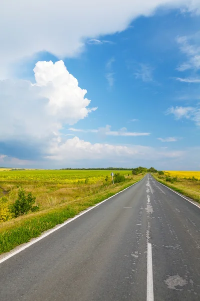 黄色のフィールドを介して道路 — ストック写真