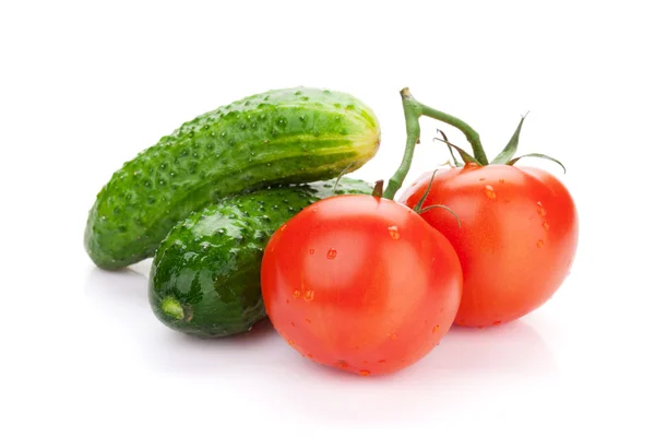 Fresh ripe vegetables — Stock Photo, Image