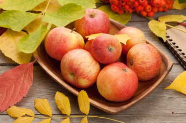 sonbahar elma ve yaprakları