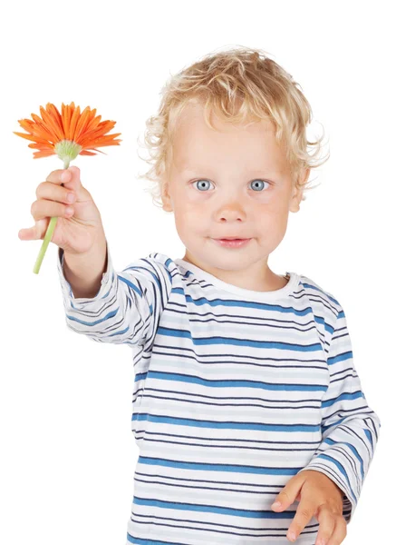 Lockiges Haar Baby mit Blume — Stockfoto