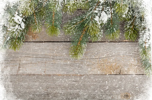 Textura con nieve y abeto —  Fotos de Stock