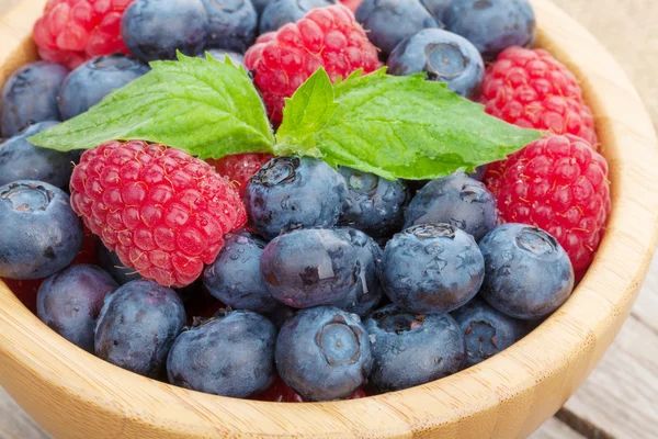 Blaubeeren und Himbeeren — Stockfoto