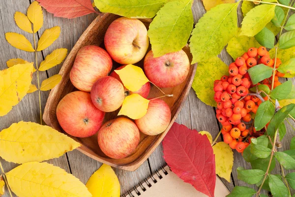 Mele e foglie d'autunno — Foto Stock