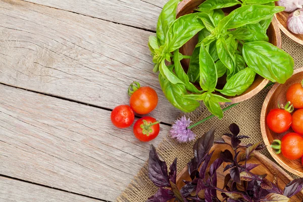 Verse boeren tomaten en basilicum — Stockfoto