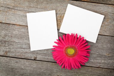Fotoğraf çerçeveleri ve gerbera çiçek