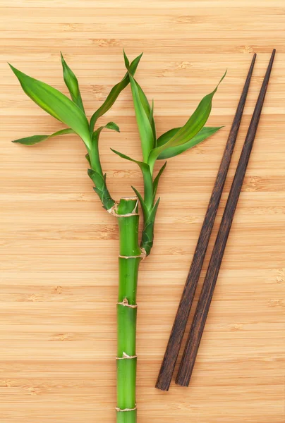 Бамбуковый завод и палочки для еды — стоковое фото