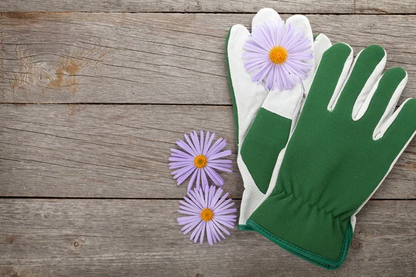 Paar Handschuhe und Blumen — Stockfoto