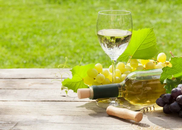 Copo de vinho branco e garrafa com cacho de uvas — Fotografia de Stock