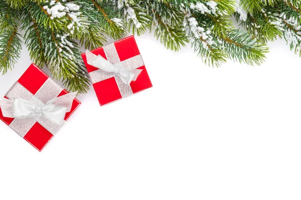 Christmas gift boxes and snow fir tree — Stock Photo, Image