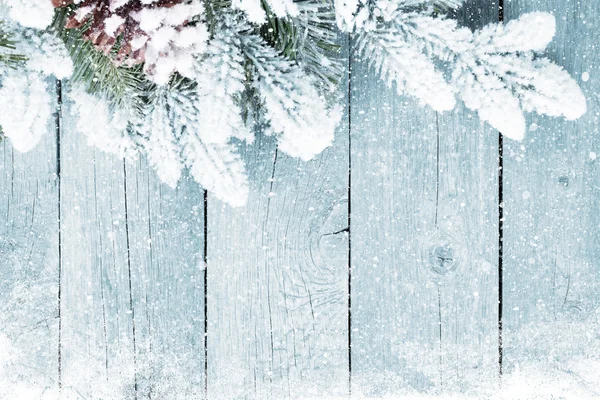 Textura de madeira velha com neve e abeto — Fotografia de Stock