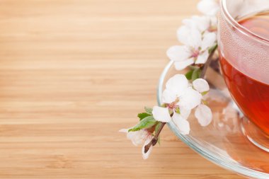 Japon Yeşil çay ve sakura Şubesi