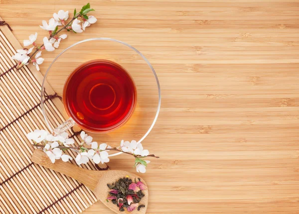 Japanese green tea and sakura branch — Stock Photo, Image