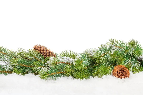 Fir kerstboom met sneeuw — Stockfoto