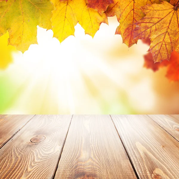 Осенний фон с листьями — стоковое фото