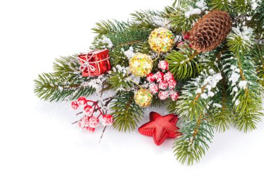 Holly berry ile şube