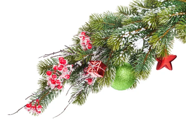 Christmas fir tree branch — Stock Photo, Image