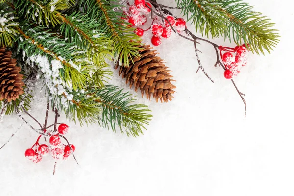 Árbol de Navidad con acebo bayas —  Fotos de Stock