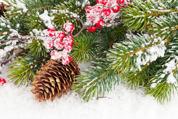 Rama de árbol de abeto de Navidad —  Fotos de Stock