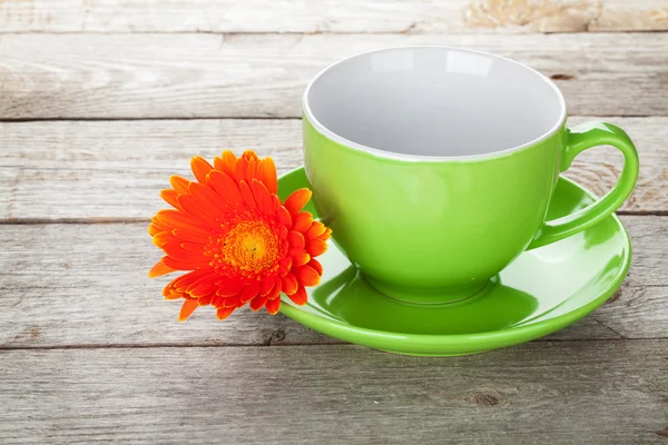 Чашка кофе и цветок герберы — стоковое фото
