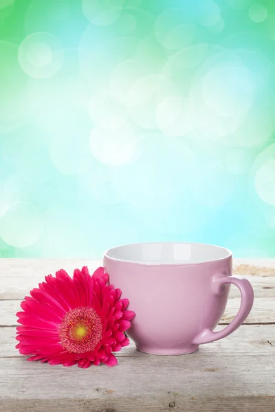 Cup of coffee and gerbera — Stock Photo, Image