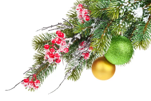 Fir kerstboom met holly berry — Stockfoto