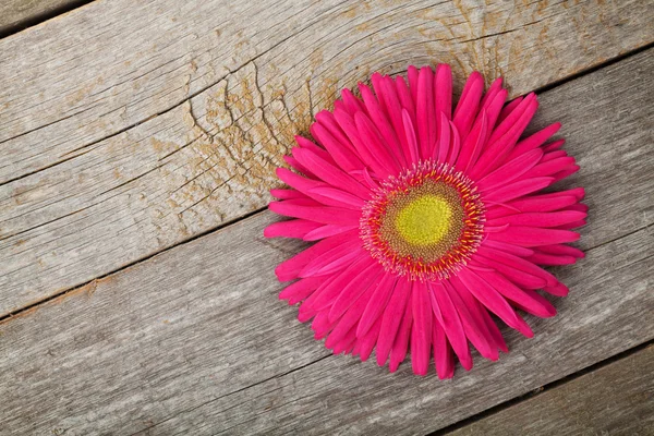 Gerbera flower over wooden table — Stock Photo, Image