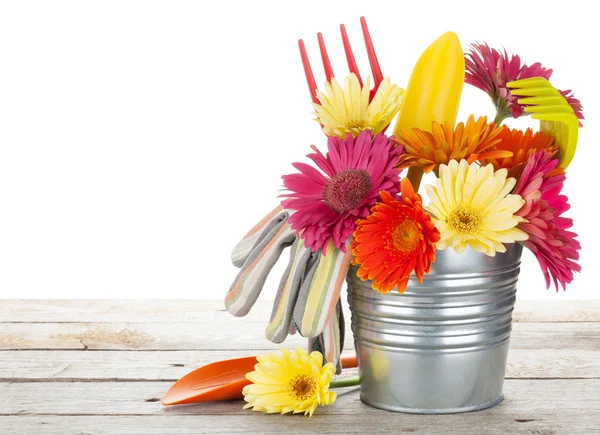 Bunte Blumen und Gartengeräte — Stockfoto