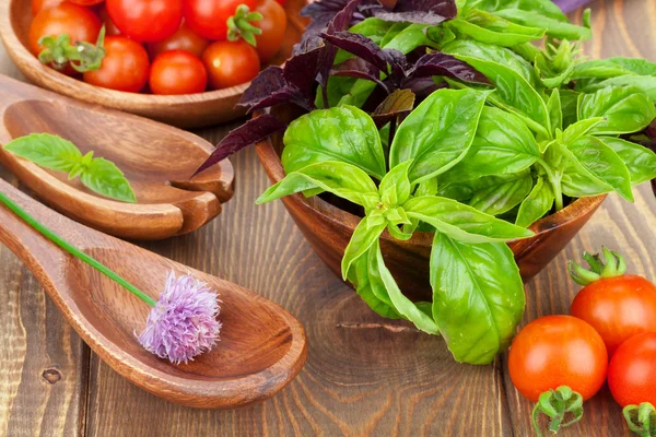 Fresh farmers tomatoes and basil — Stock Photo, Image