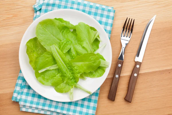 Plate with fresh salad, knife and fork — Stock Photo, Image