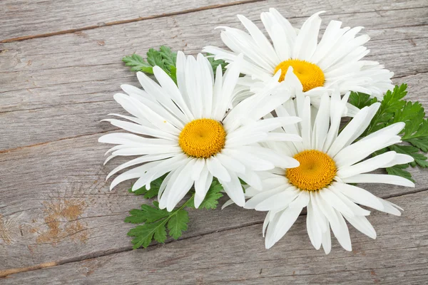 Daisy camomile flowers on wooden table — Stock Photo, Image