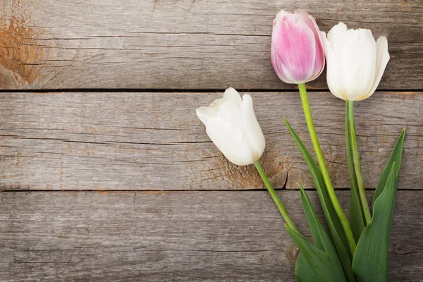 Kytice čerstvých tulipánů — Stock fotografie