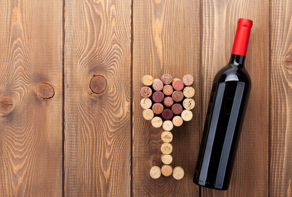 Red wine bottle and glass shaped corks