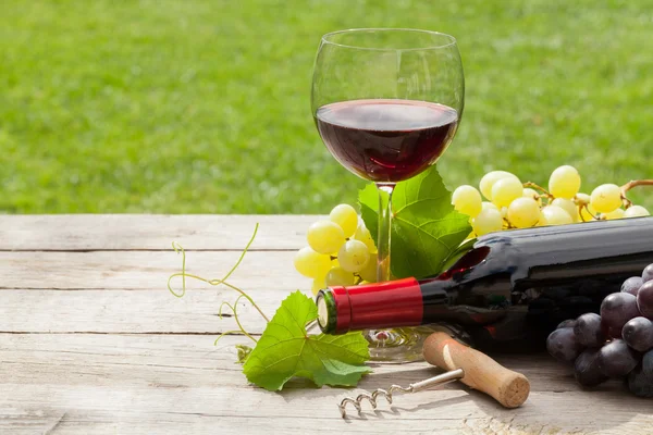 Wine glass and bottle with grapes — Stock Photo, Image