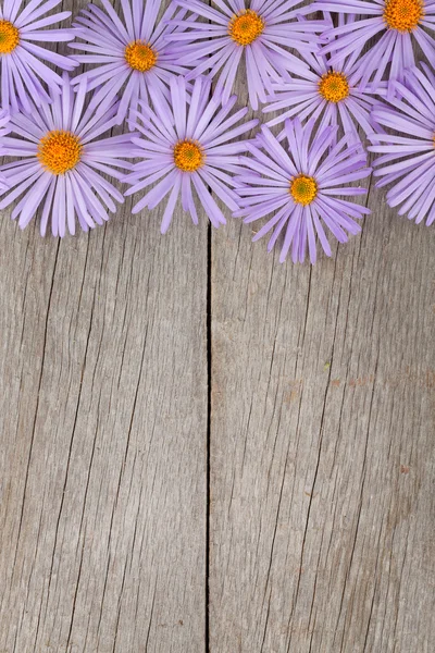 Fondo in legno con fiori blu — Foto Stock