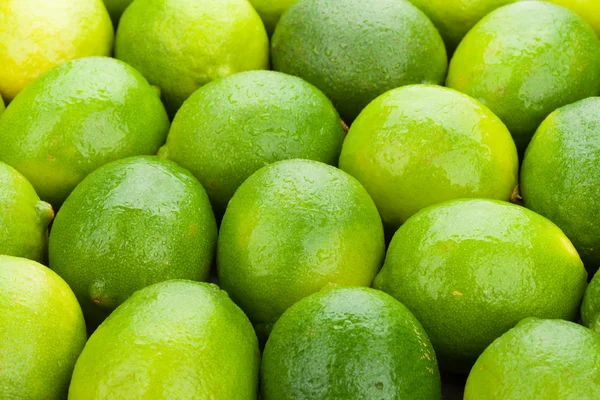 Čerstvé zralé citrusy — Stock fotografie