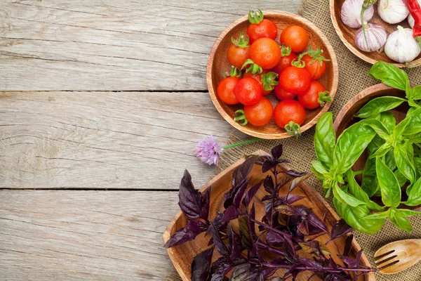 Verse boeren tomaten en basilicum — Stockfoto