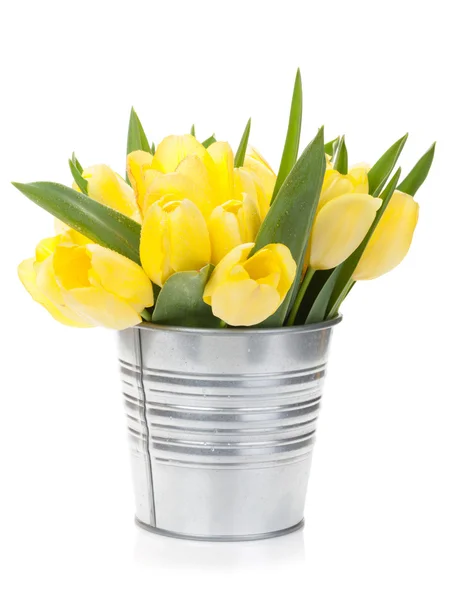 Fresh yellow tulips bouquet — Stock Photo, Image