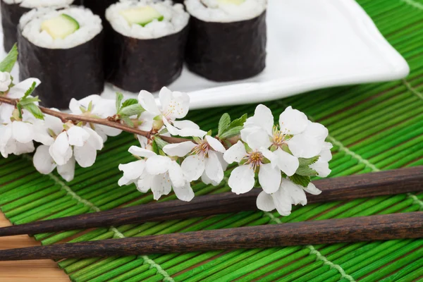 Sushi maki set and sakura branch — Stock Photo, Image