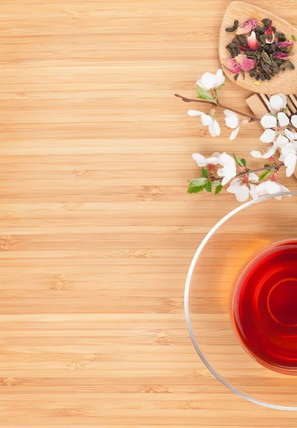 Japanese green tea and sakura branch — Stock Photo, Image