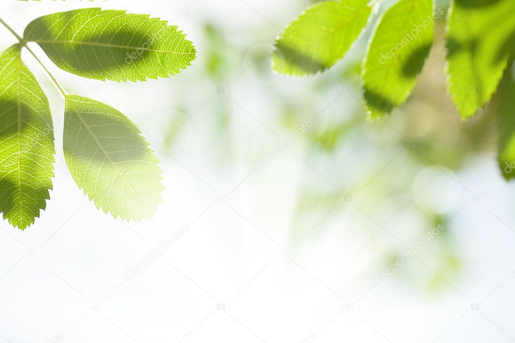Abstract summer bokeh background