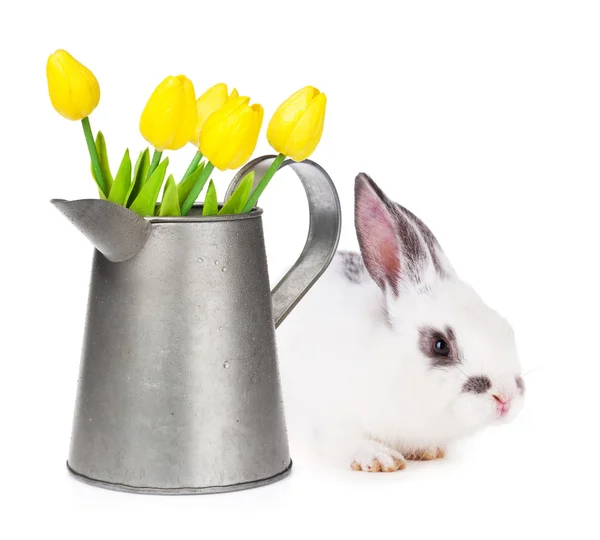 Yellow    tulips   and easter rabbit — Stock Photo, Image