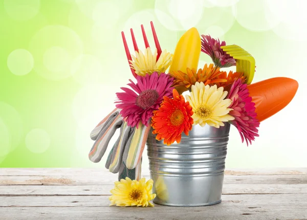 Colorful flowers and garden tools — Stock Photo, Image