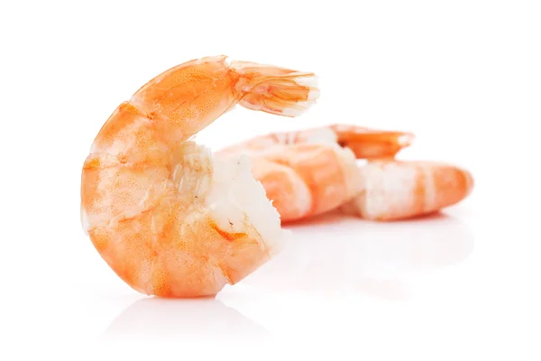 Cooked shrimps close up — Stock Photo, Image