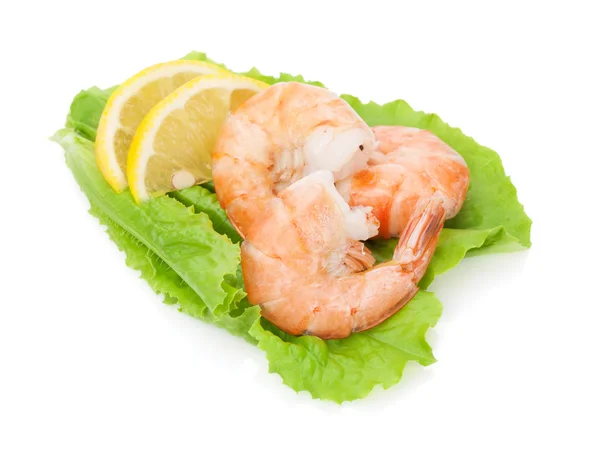 Cooked shrimps with lemon — Stock Photo, Image